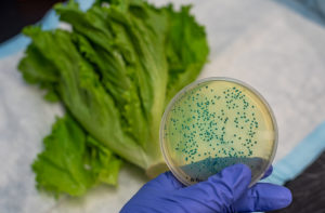 Philadelphia Food Poisoning and Illness PA Personal Injury Lawyer