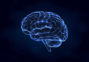 TBI Attorney PA