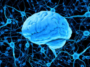 TBI Lawyer in Philadelphia